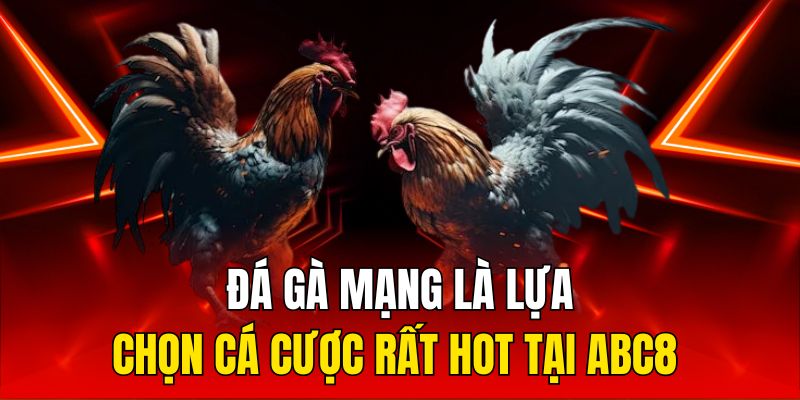 Đá gà mạng là lựa chọn cá cược rất hot tại ABC8 