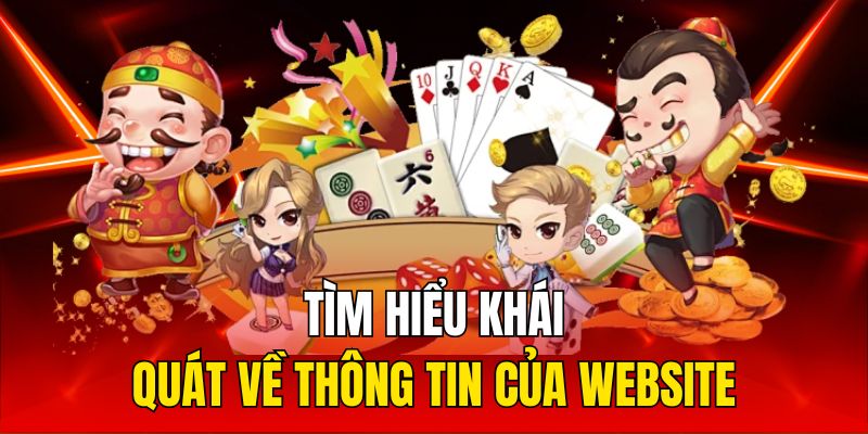 Tìm hiểu khái quát về thông tin của website